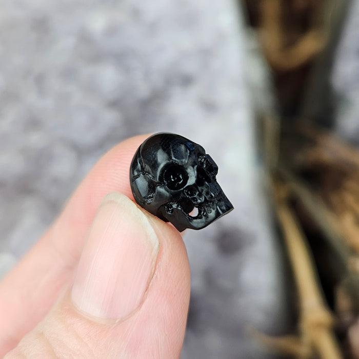 Buffalo Horn Carved Fairy Skull, Medium