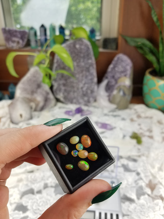 Natural Welo Opal, 5 ct Set