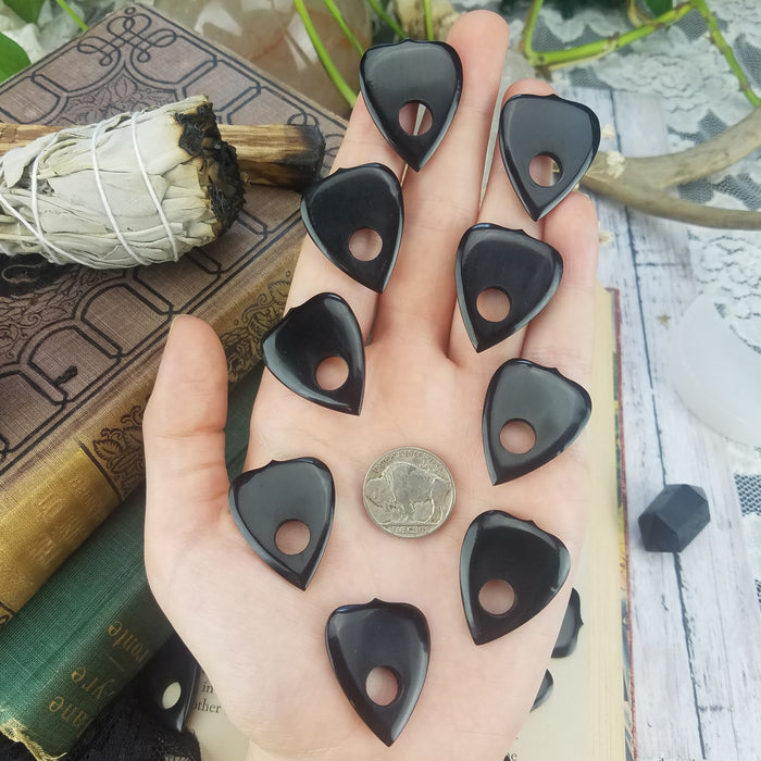 Buffalo Horn Medium Planchettes