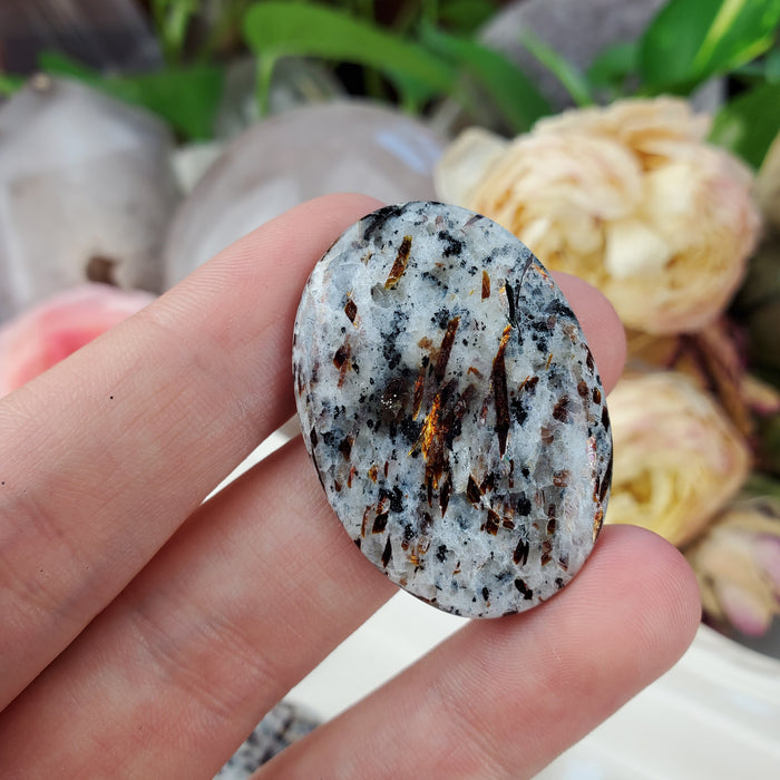 Astrophyllite Cabochons