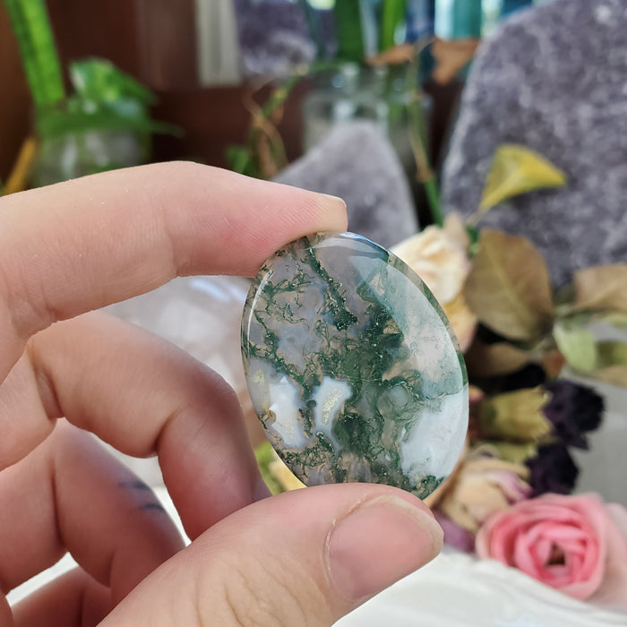 Moss Agate Cabochons, green