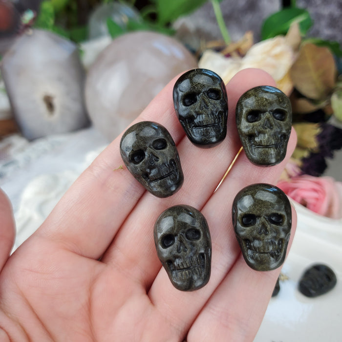 Gold Sheen Obsidian Skull Carving Cabochons