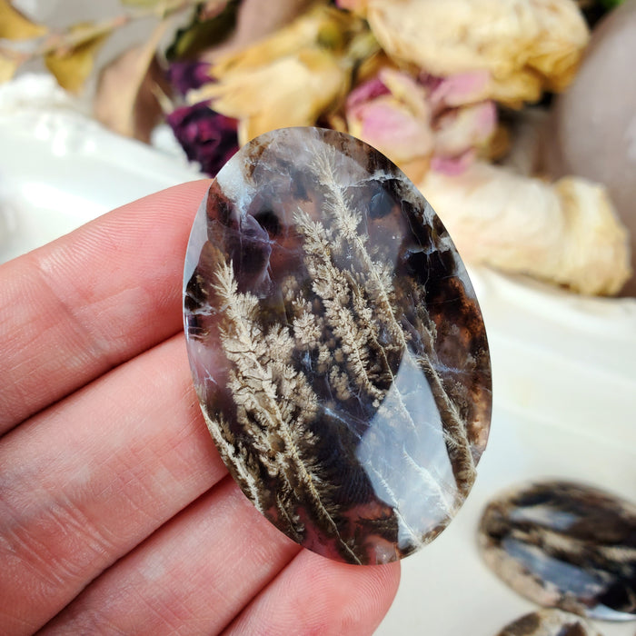 Plume Agate Oval Cabochons