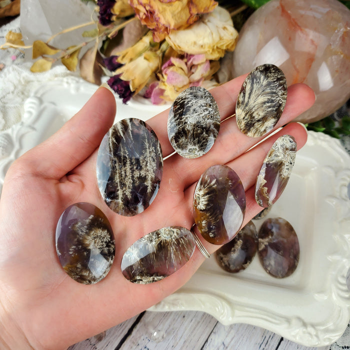 Plume Agate Oval Cabochons