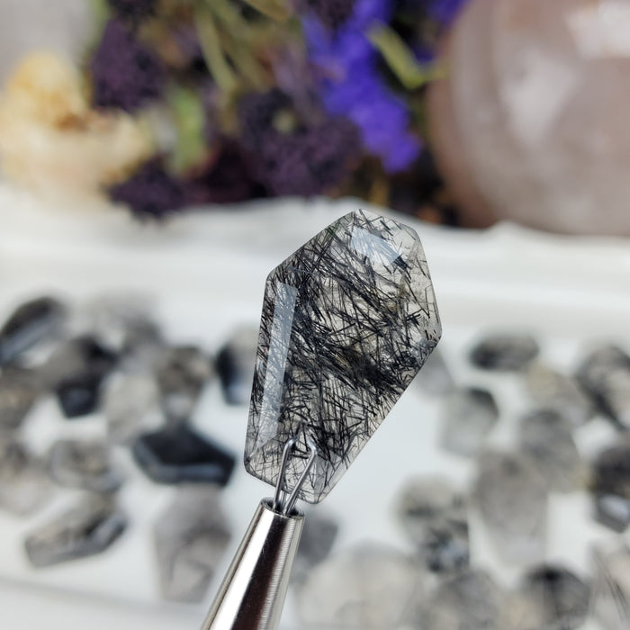 Black Rutilated Quartz Coffins