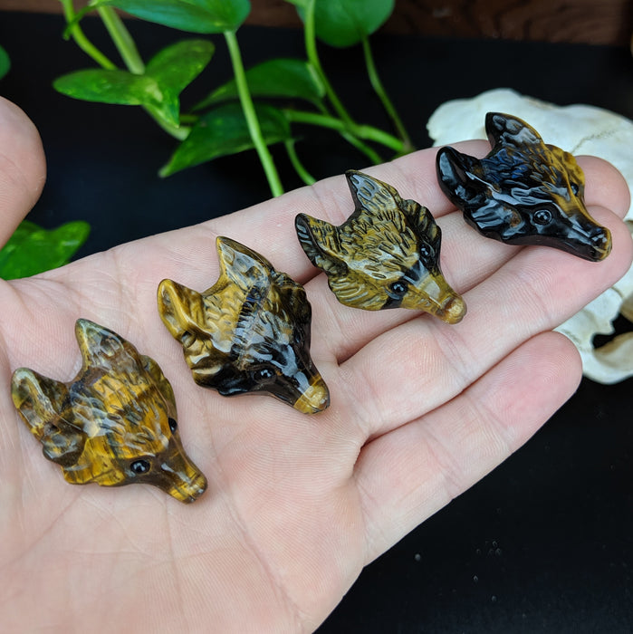 Tigers Eye Wolf Head Drilled Pendant