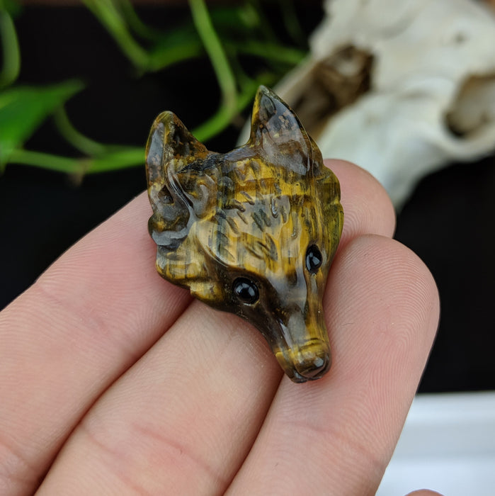 Tigers Eye Wolf Head Drilled Pendant