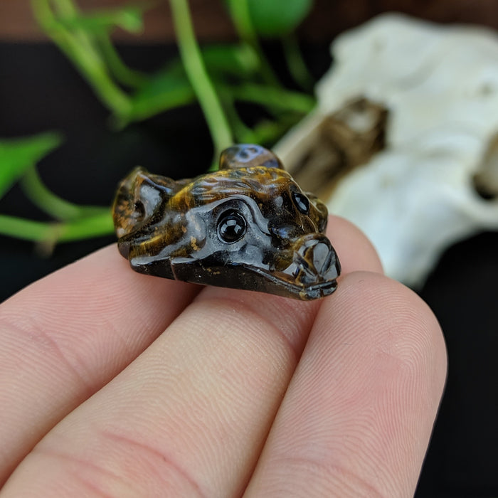 Tigers Eye Wolf Head Drilled Pendant