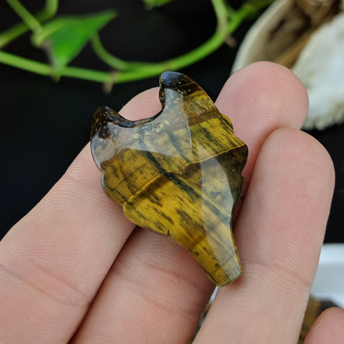 Tigers Eye Wolf Head Drilled Pendant