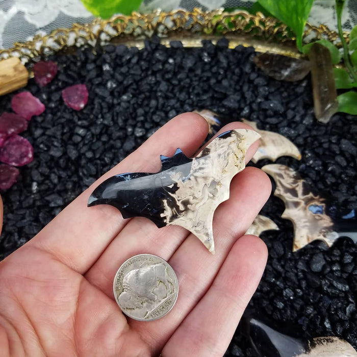 Second Quality Fossil Palm Root Bats