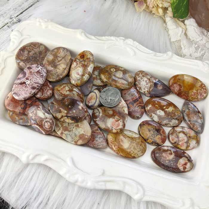 Birds Eye Jasper Cabochons