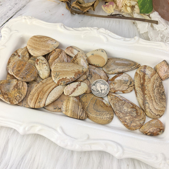 Picture Jasper Cabochons