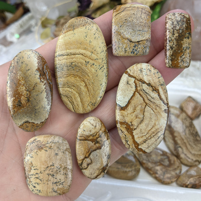 Picture Jasper Cabochons