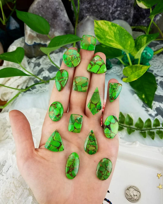 Green Mojave Turquoise Cabochons