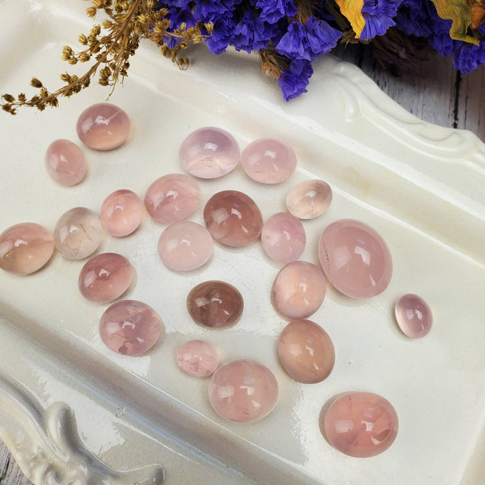 Star Rose Quartz Cabochons