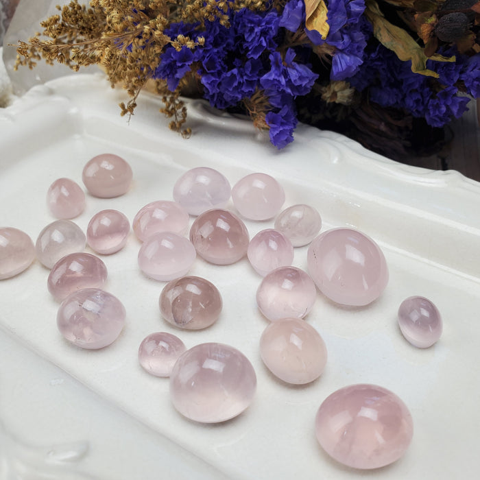 Star Rose Quartz Cabochons