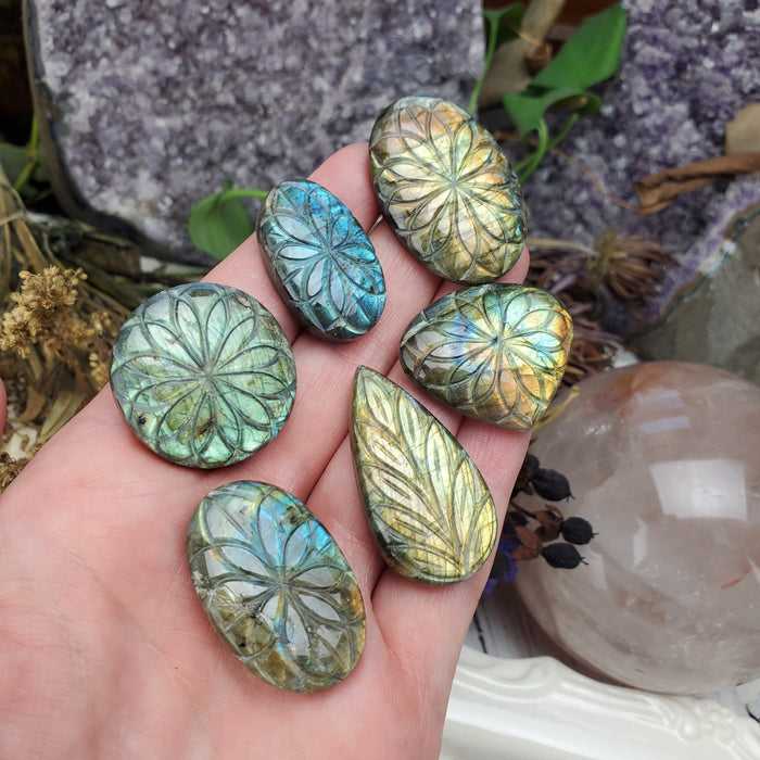 Labradorite Carved Cabochons