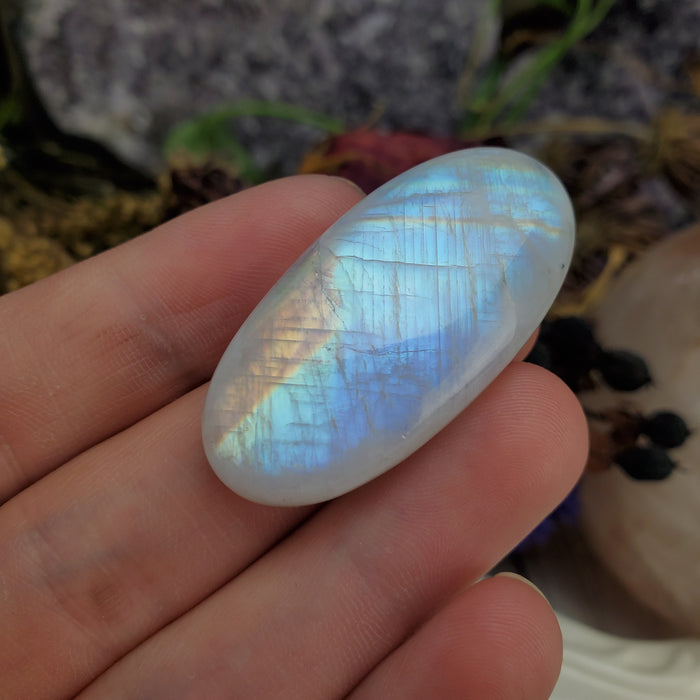 Moonstone Cabochon, 11