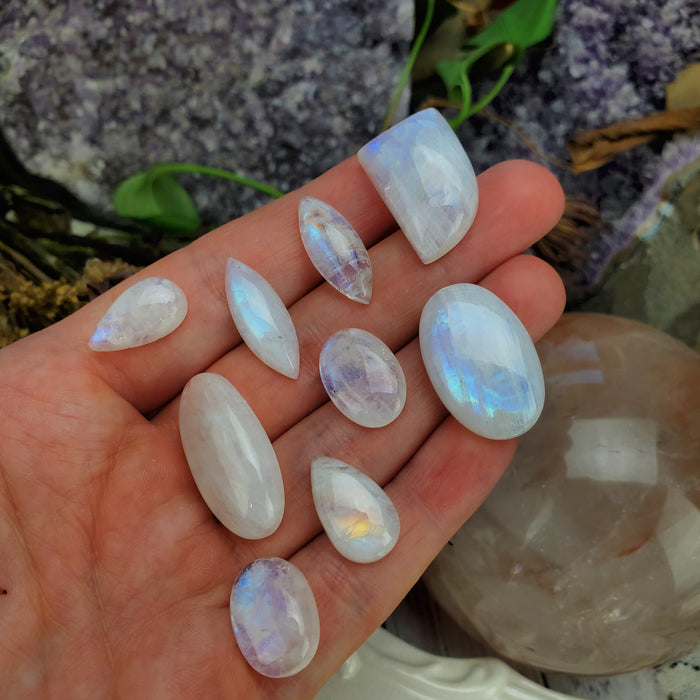 Moonstone Cabochon Set, 11