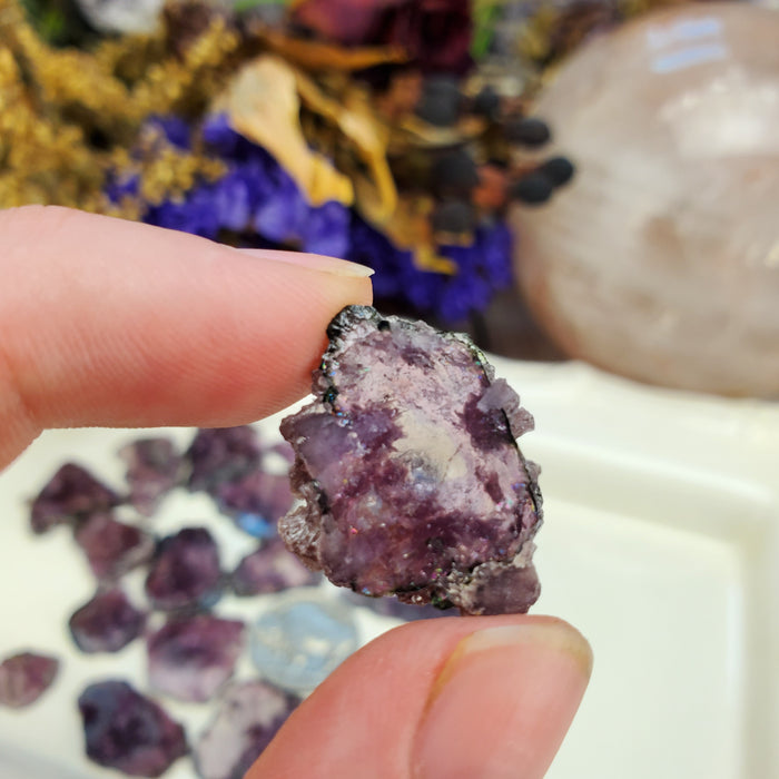 Tourmaline with Lepidolite Slices