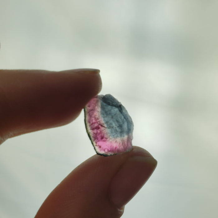 Bicolor Tourmaline Slices