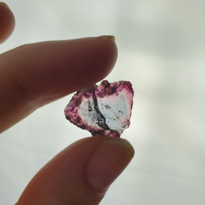 Bicolor Tourmaline Slices