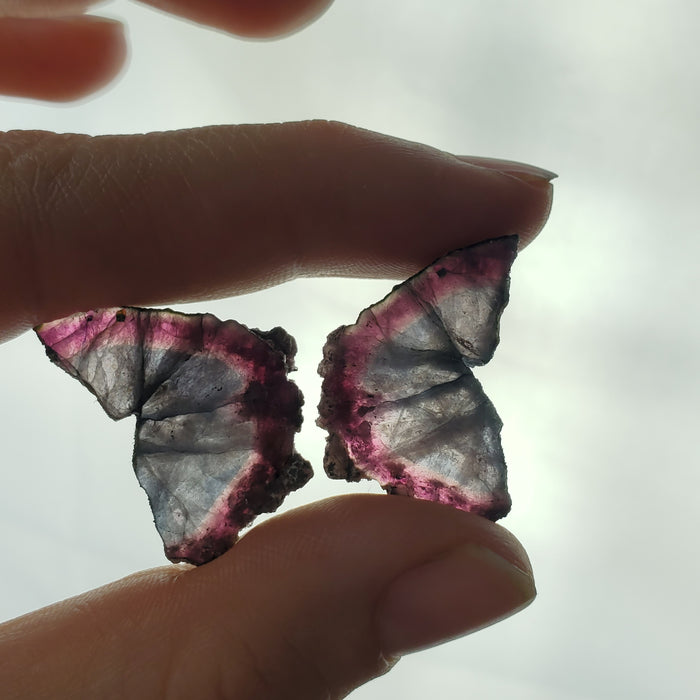 Tourmaline Butterfly Wings, raw