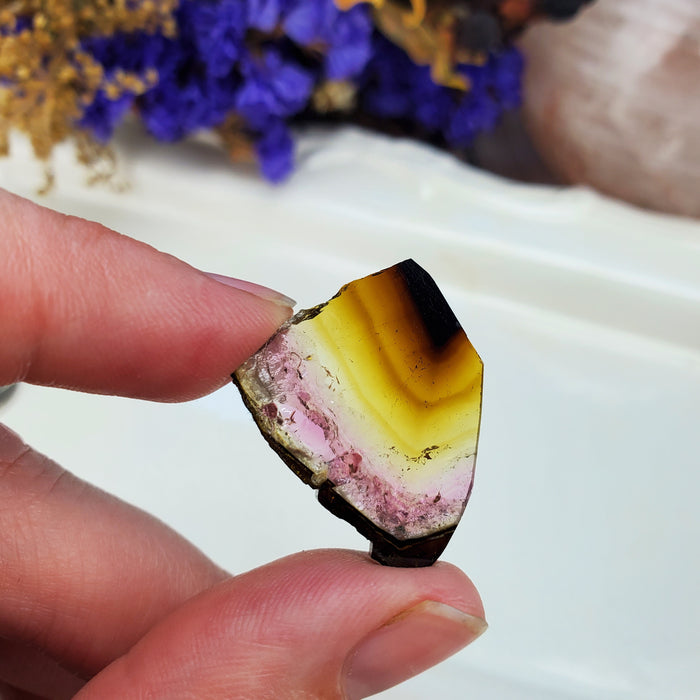 Tourmaline Slice, 1