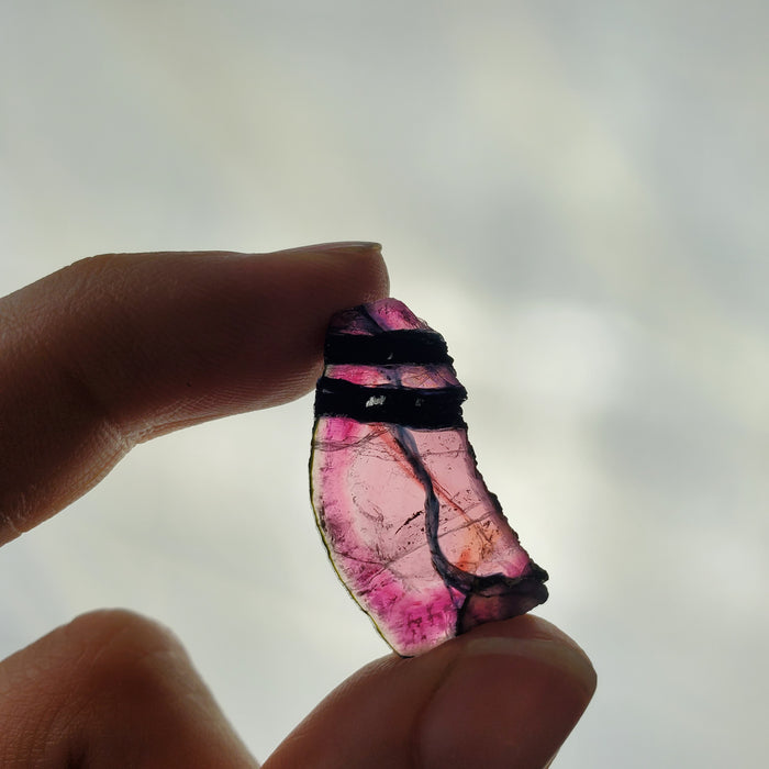 Tourmaline Slice, 11