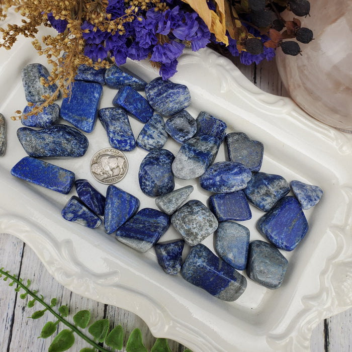 Lapis Lazuli Tumbles, 1/2kg