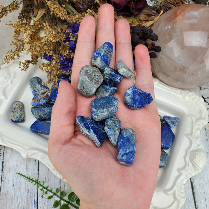 Lapis Lazuli Tumbles, 1/2kg