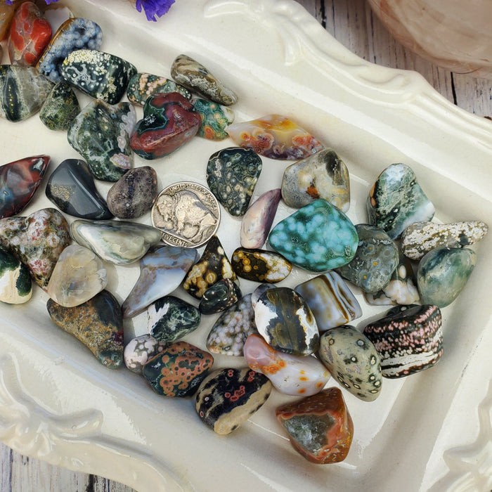 Ocean Jasper Tumbles