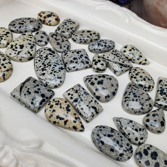 Dalmatian Jasper Cabochons, 100 gram bags