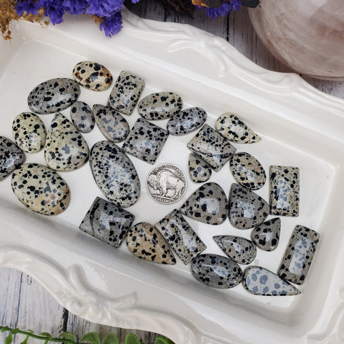 Dalmatian Jasper Cabochons, 100 gram bags