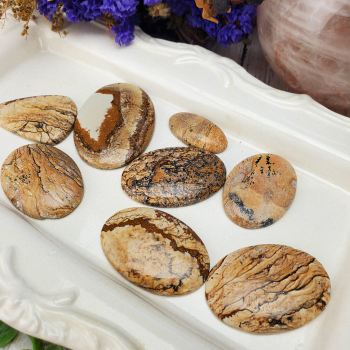 Picture Jasper Cabochons, 100 gram bags