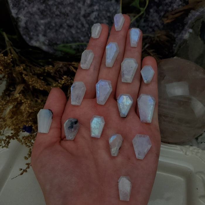 Moonstone Coffins, Medium