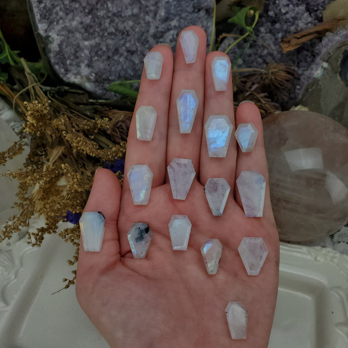 Moonstone Coffins, Medium