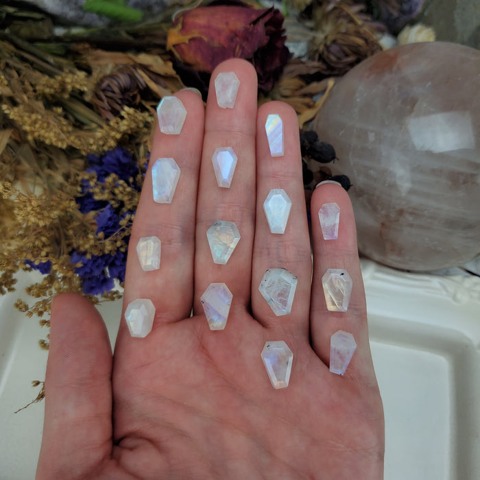 Moonstone Coffins, Mini