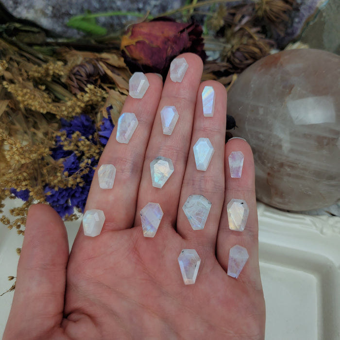 Moonstone Coffins, Mini