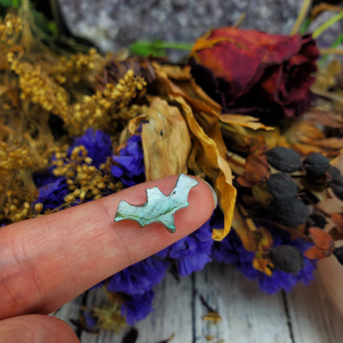 Labradorite Bat Cabochons