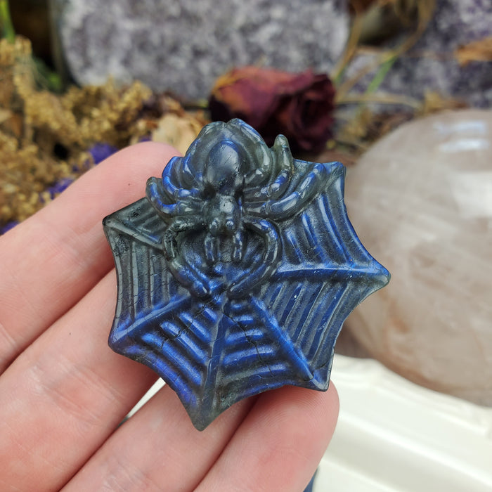 Labradorite Spider Carving  Cabochons