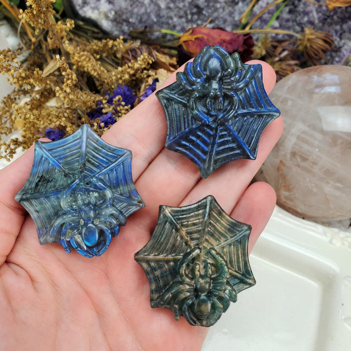 Labradorite Spider Carving  Cabochons