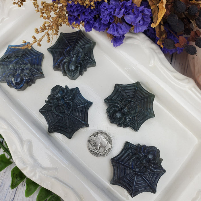 Labradorite Spider Carving  Cabochons