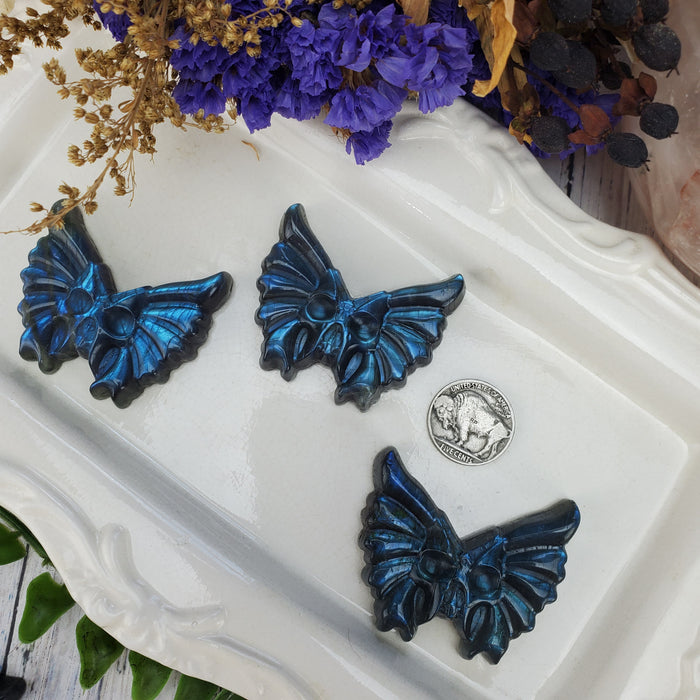 Labradorite Death Moth Cabochons