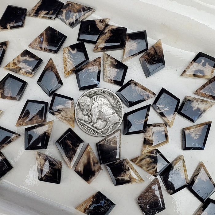 Fossil Palm Root Kite Cabochons