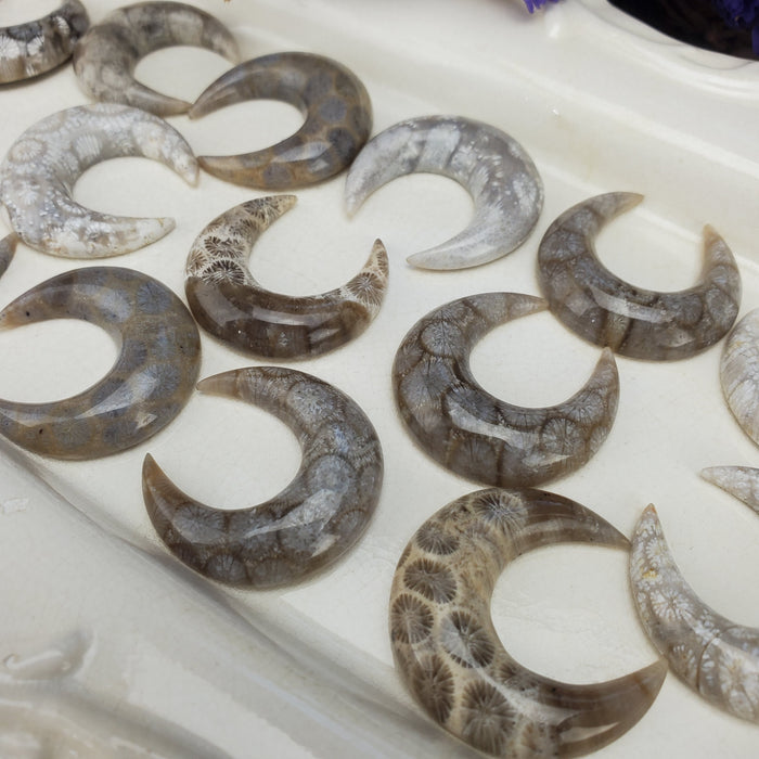 Fossil Coral Crescent Moons