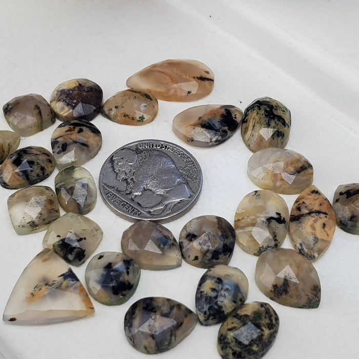 Tiger Dendritic Agate Rose Cut Cabochons