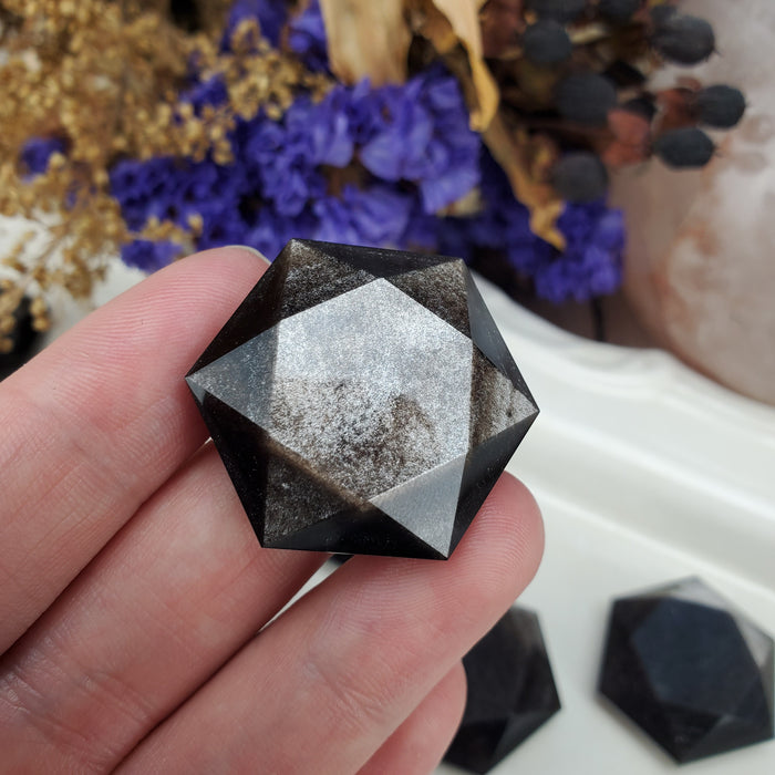 Silver Sheen Obsidian Hexagonal Coins