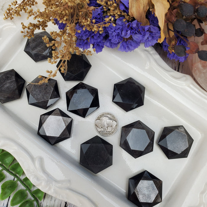 Silver Sheen Obsidian Hexagonal Coins