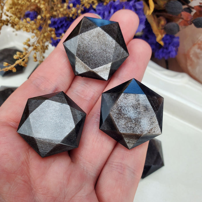 Silver Sheen Obsidian Hexagonal Coins